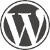Hire a dedicated wordpress developer